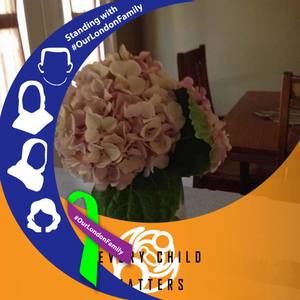 Meet your Posher, Janie